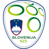 Fotballdrakt Slovenia